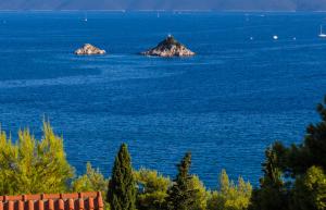 Belvedere_apartment_06