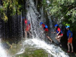 cetina 5