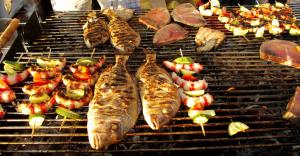 fish picnic 3
