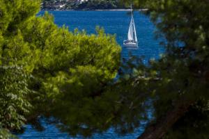 plaža 1