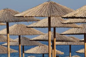 sun-umbrellas-819944_1920